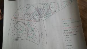 The tentative plan for our property