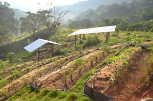 Morning at our homestead